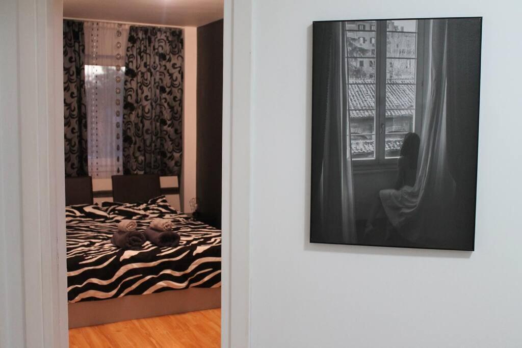 Yua'Shomes-Bussiness And Travel Apartment Cluj-Napoca Ngoại thất bức ảnh